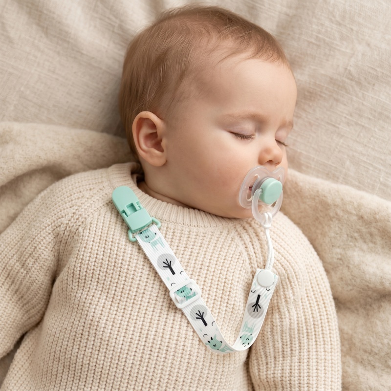 Klip Pengikat Empeng Bayi deng - Baby Pacifier Clip ulasan dan harga