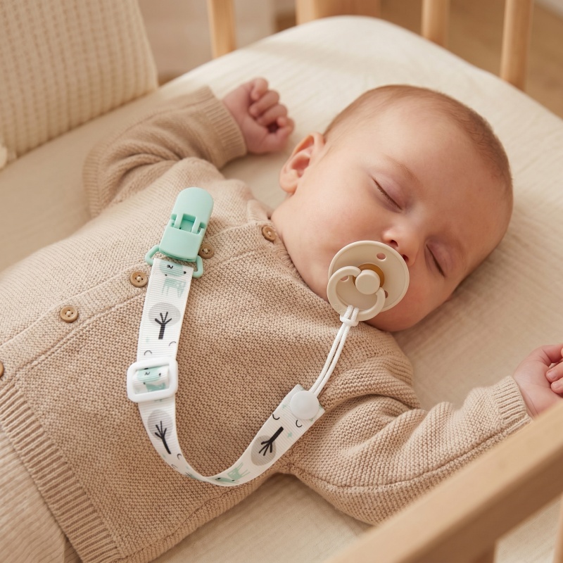 Klip Pengikat Empeng Bayi deng - Baby Pacifier Clip ulasan dan harga